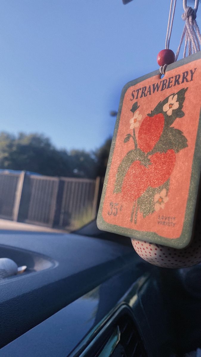 an old strawberry crate hanging from the side of a car