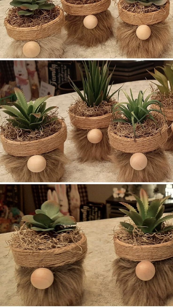 three pictures showing different stages of growing plants in baskets with eggs on the top and bottom