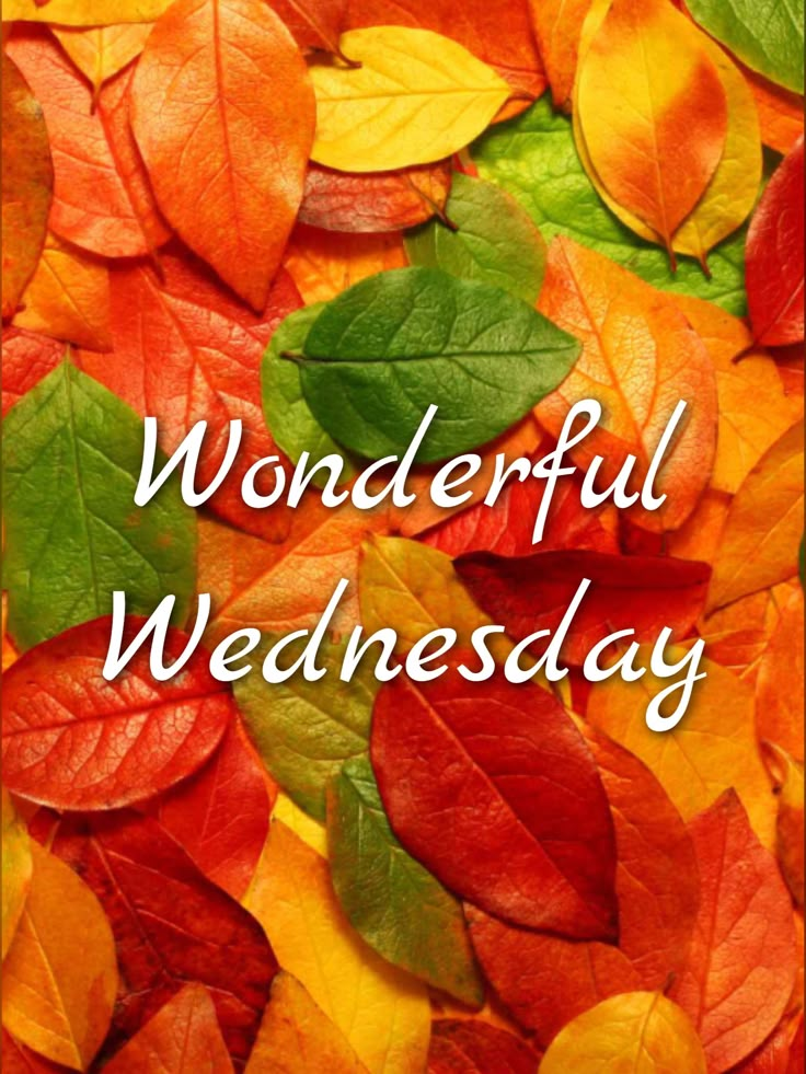 colorful leaves with the words wonderful wednesday