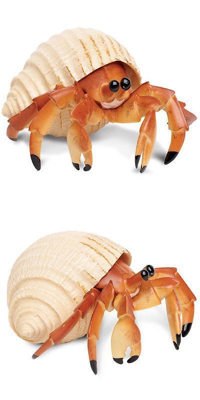 two pictures of an orange crab with black eyes on it's back and front legs