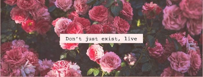 pink flowers with the words don't just exit, live