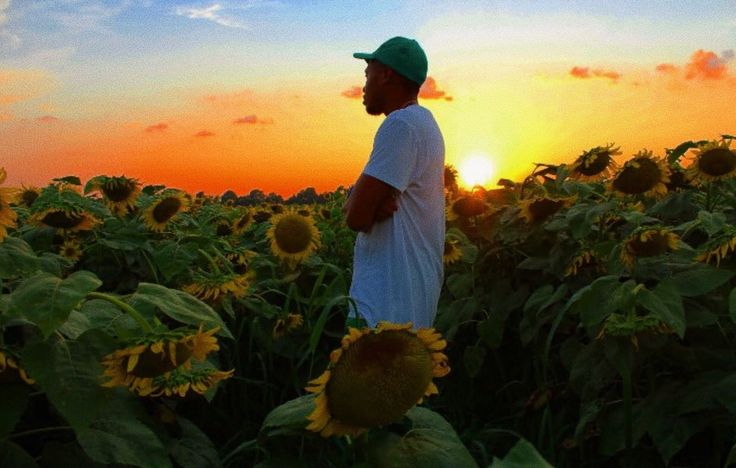 a man standing in the middle of a field of sunflowers at sunset or dawn