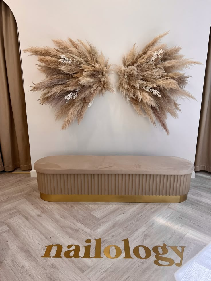 two large feathers are mounted on the wall above a bench in a room with wood flooring