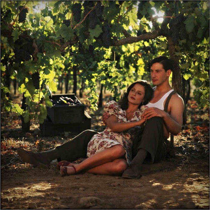 a man and woman sitting on the ground under a tree