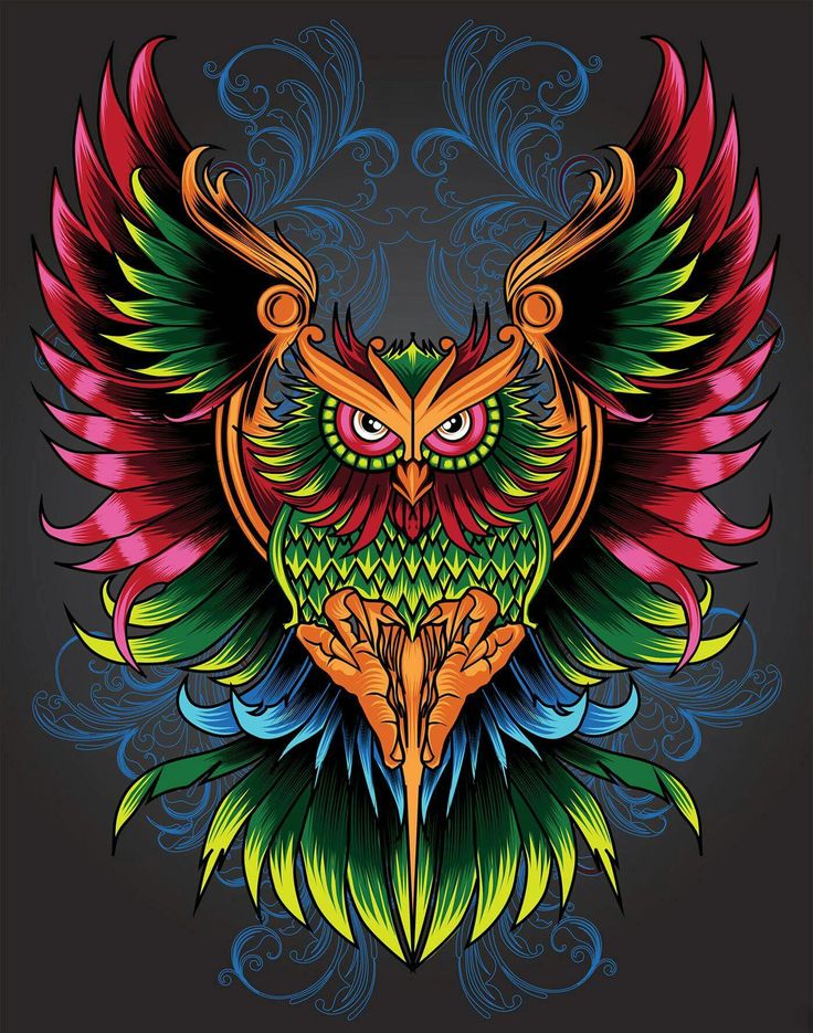 Colorful Owl Owl Wallpaper Iphone, Tattoo Background, Owl Artwork, Owl Tattoo Design, Owl Wallpaper, Owl Illustration, Colorful Owls, Owls Drawing, Beautiful Owl