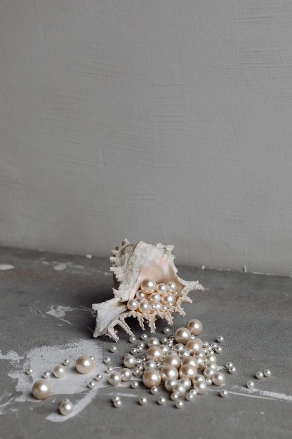 sea shells and pearls are scattered on the floor in front of a white painted wall