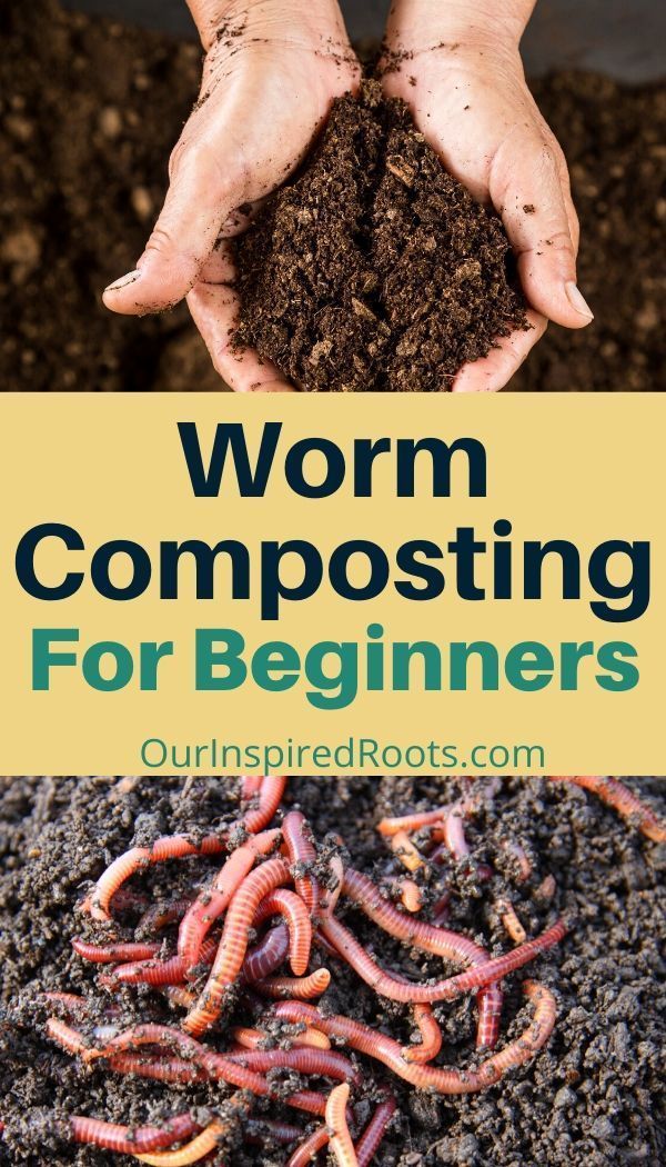 two hands holding worms in dirt with the words how to make a worm bin for composting