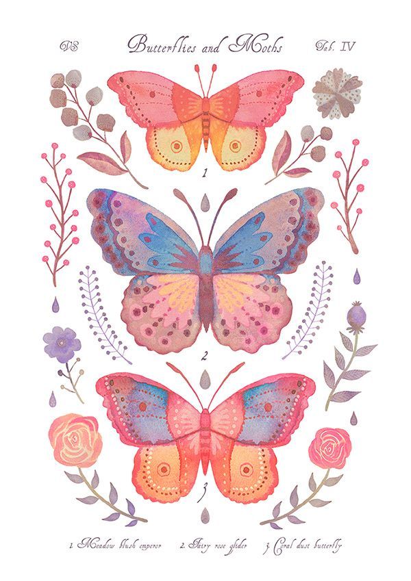 butterflies and flowers are featured in this watercolor painting