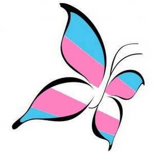 a pink and blue butterfly with stripes on it's wings