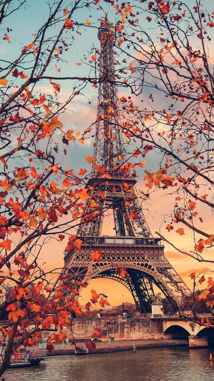 the eiffel tower is surrounded by autumn leaves and trees with text paris on it