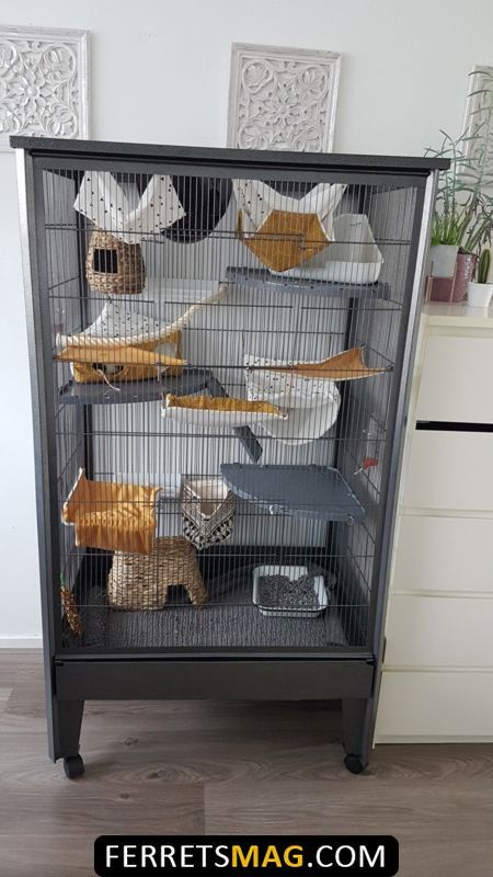 a bird cage filled with lots of birds in front of a white wall and wooden floor