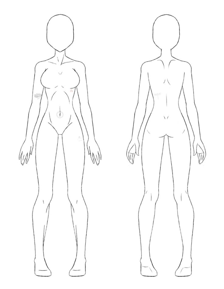 an outline drawing of a female body and man's torso, viewed from the front