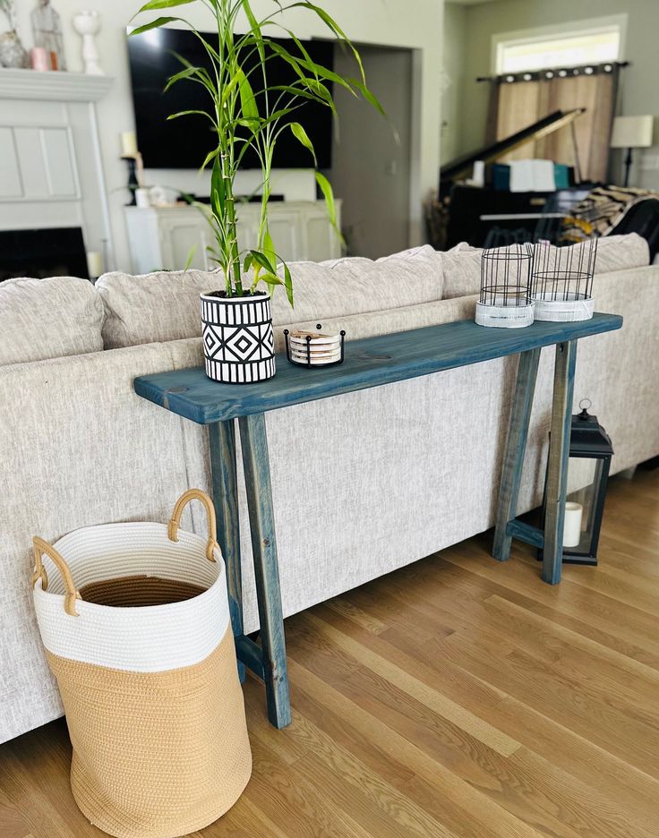 a living room with a couch, table and potted plant on the coffee table