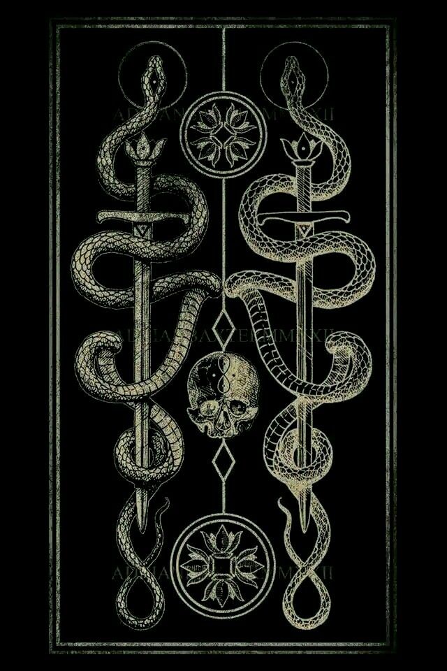 an image of a snake and two snakes in the middle of a drawing on black paper