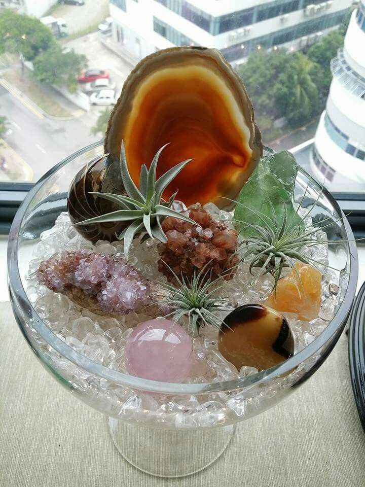 a glass bowl filled with different types of rocks and air plants