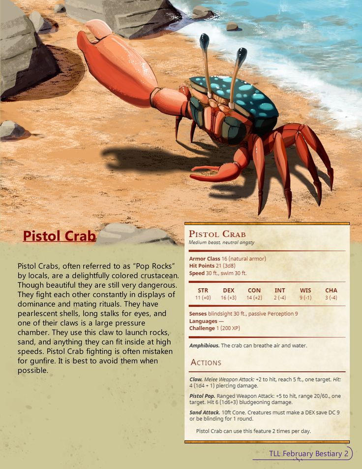 an image of a crab on the beach with other items in it's claws