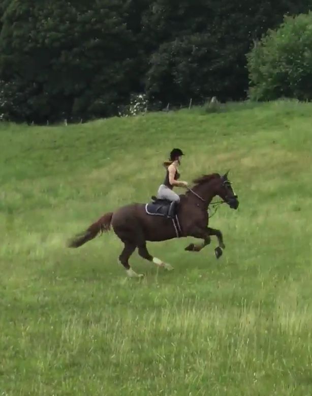 a woman riding on the back of a brown horse across a lush green field with trees in the background