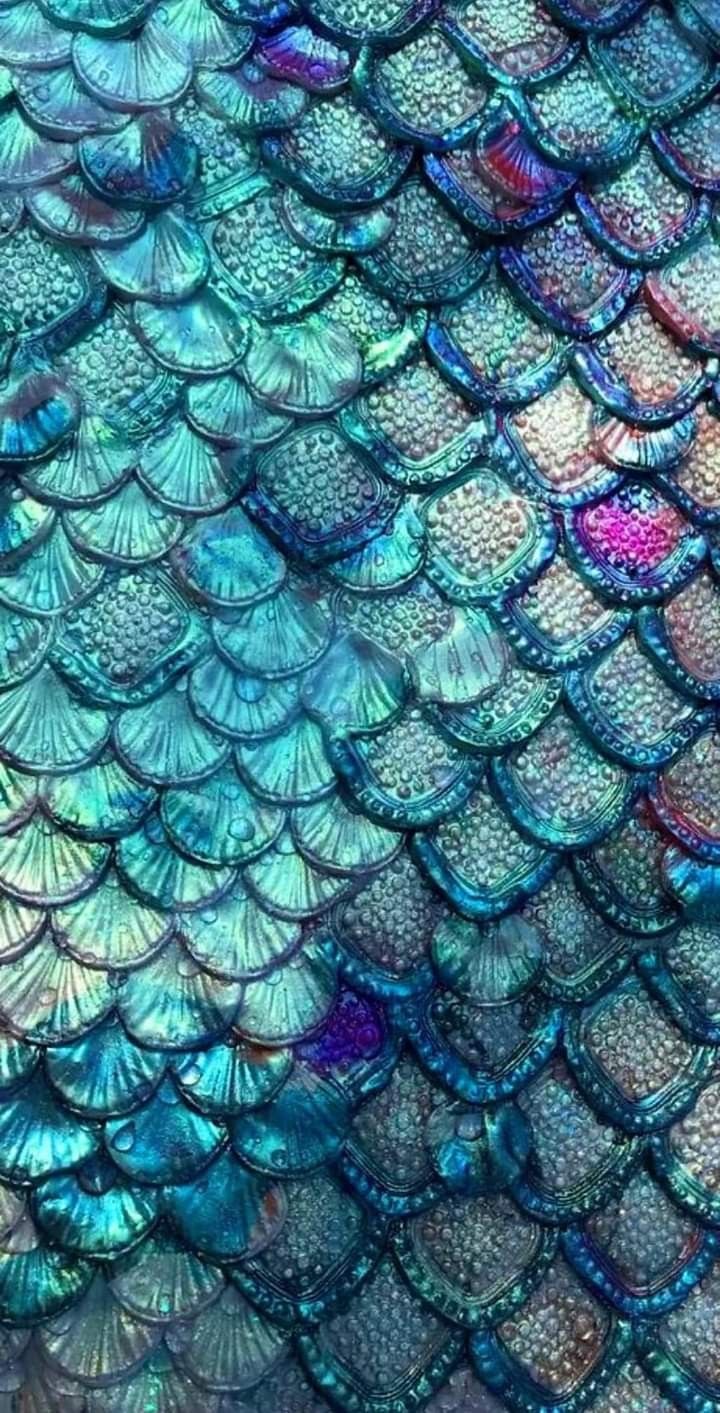 the scales of a fish's tail are blue and green, with pink accents