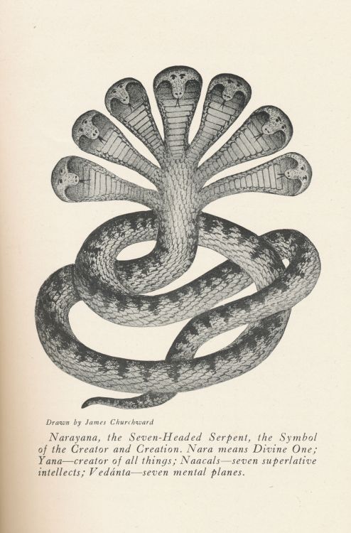 an illustration of a snake with its tail curled up