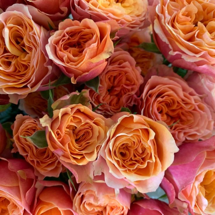 many orange and pink roses are arranged together