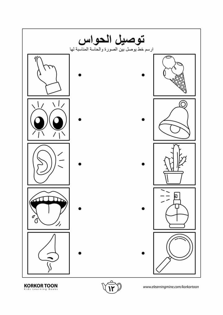 the worksheet for match your five sensess with pictures to make them look like they