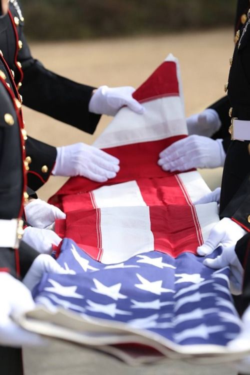 tears at your funeral when they folded the flag & gave it to mom. the gun salute was so loud, I just couldn't stop sobbing. Remember The Fallen, I Love America, United States Flag, Home Of The Brave, Us Soldiers, Military Heroes, Military Veterans, American Patriot, Old Glory