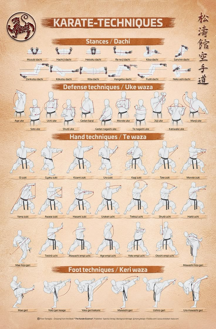 a poster with instructions on how to do karate in different positions, including the knee and back