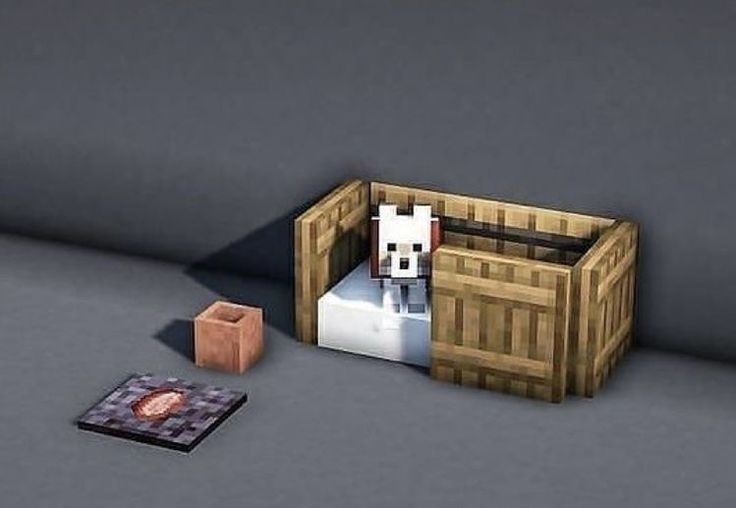 an image of a dog in the living room with its bed and box on the floor