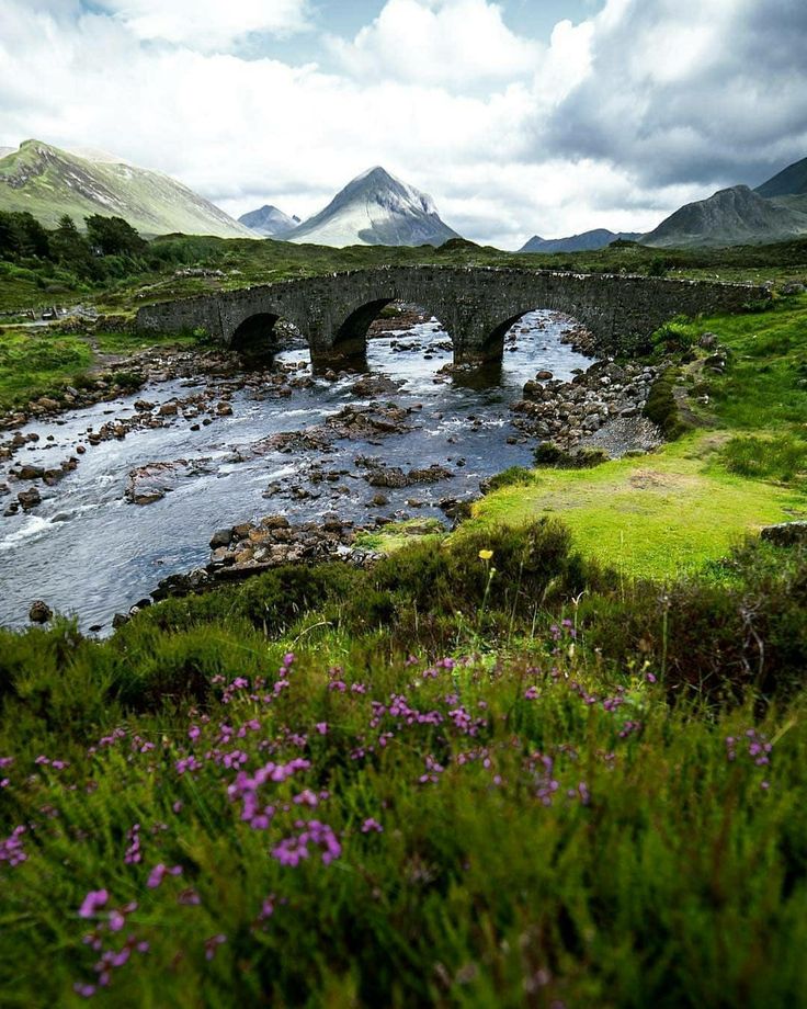 a stone bridge over a river in the middle of a lush green field with purple flowers