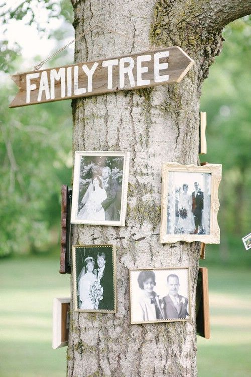 a family tree with pictures hanging on it