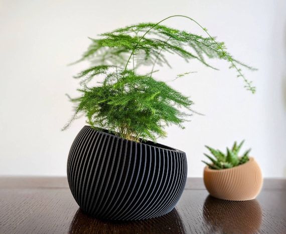 two pots with plants in them sitting on a table