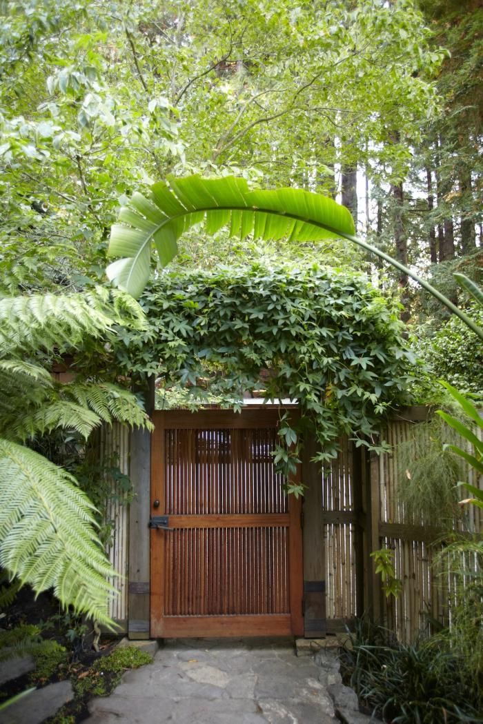 a wooden gate surrounded by green plants and trees