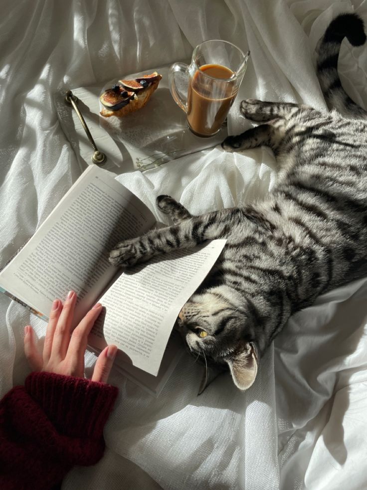 a cat laying on top of a bed next to a cup of coffee and an open book