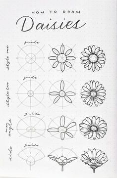 an open notebook with drawings on it and the words how to draw daisies written in cursive writing