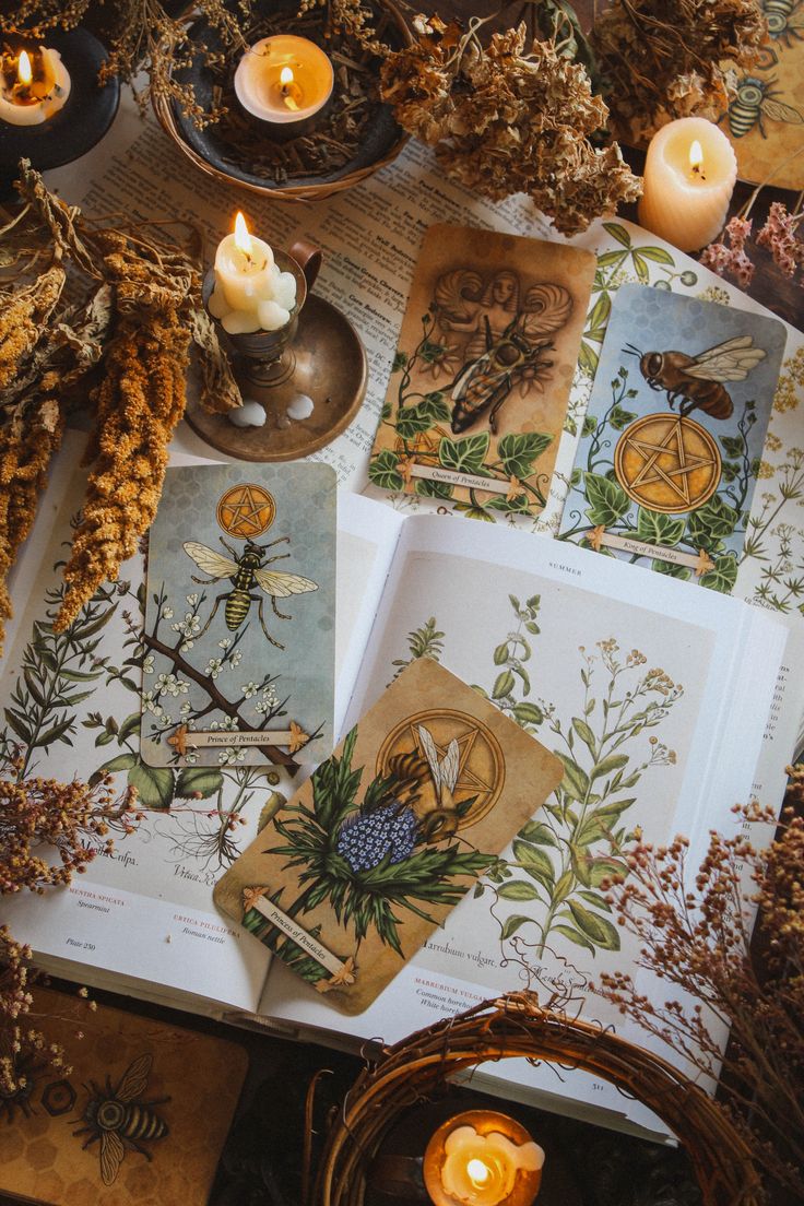 an open book surrounded by candles and other items on a table with dried flowers, leaves and plants