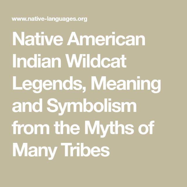 Native American Indian Wildcat Legends, Meaning and Symbolism from the Myths of Many Tribes Native American Myths, Personal Philosophy, Native American Legends, Native Crafts, Nativity Crafts, Native American Indians, American Indian, Wild Cats, The Energy