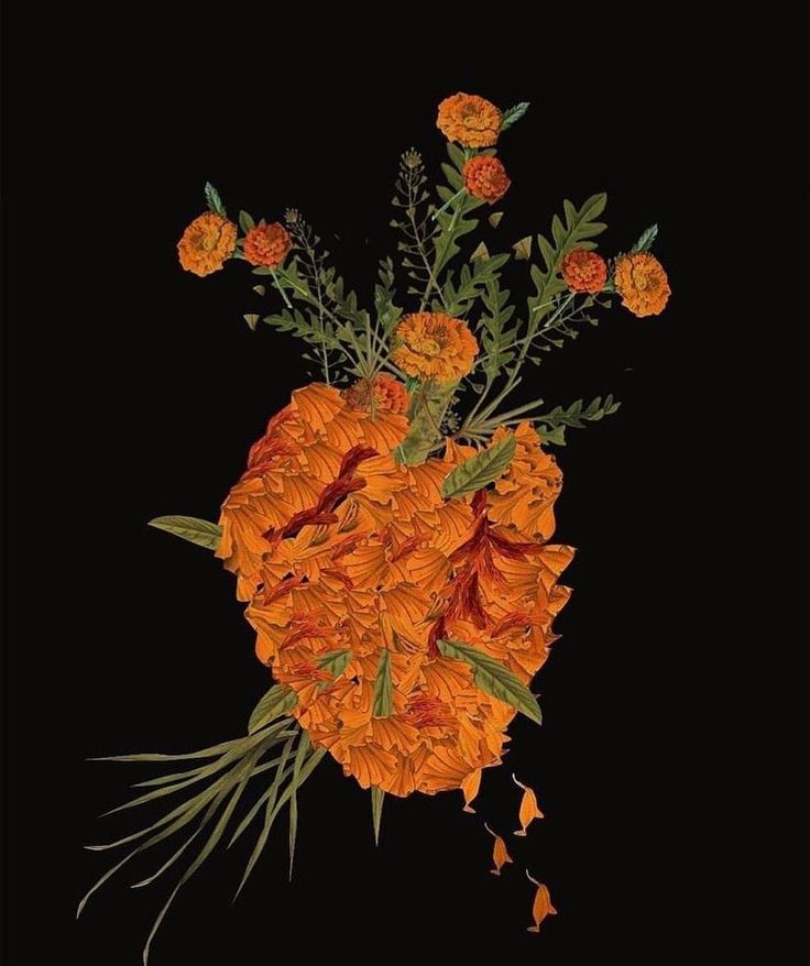 an orange flower arrangement on a black background with the words tuxamee - siguaendo