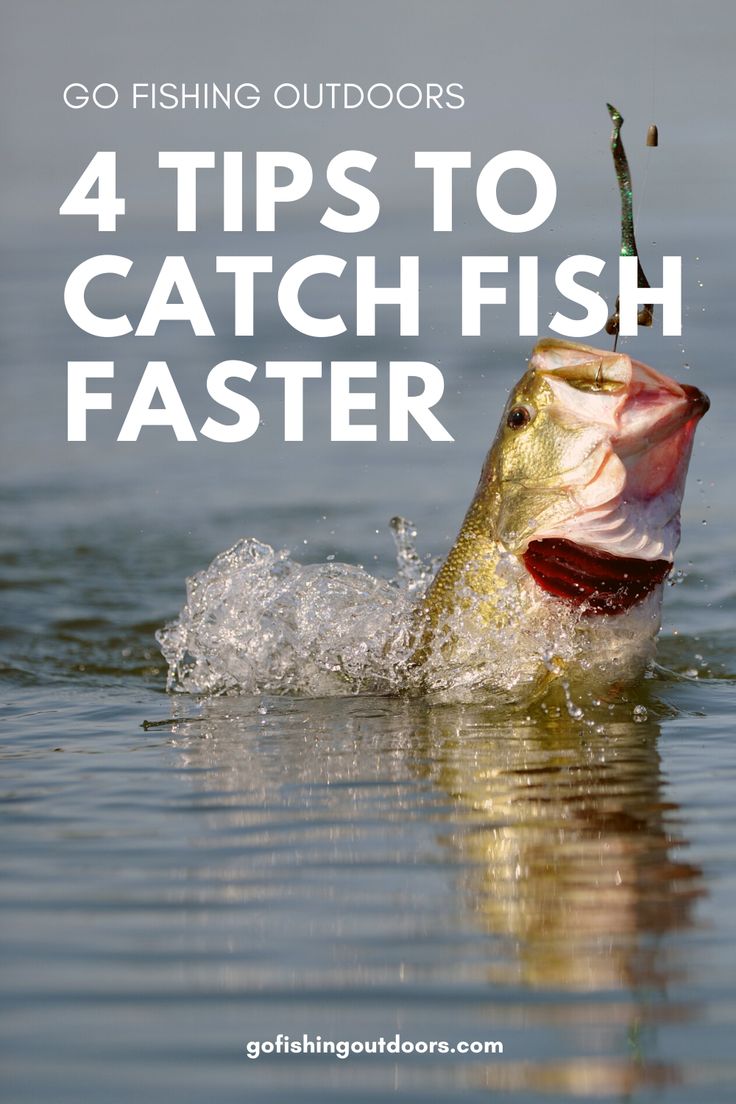 a fish jumping out of the water with its mouth open and fishing hook in it's mouth