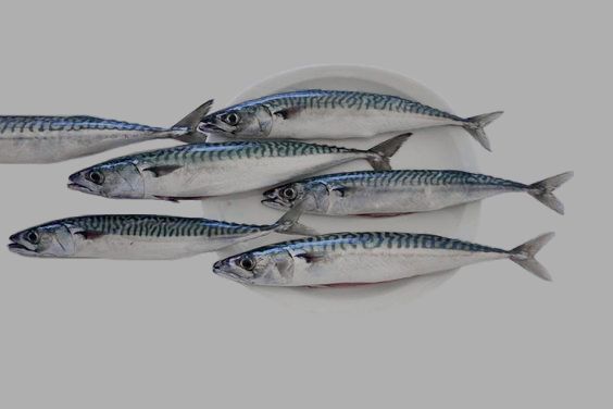 five fish are sitting on a plate and ready to be cooked in the kitchen or dining room