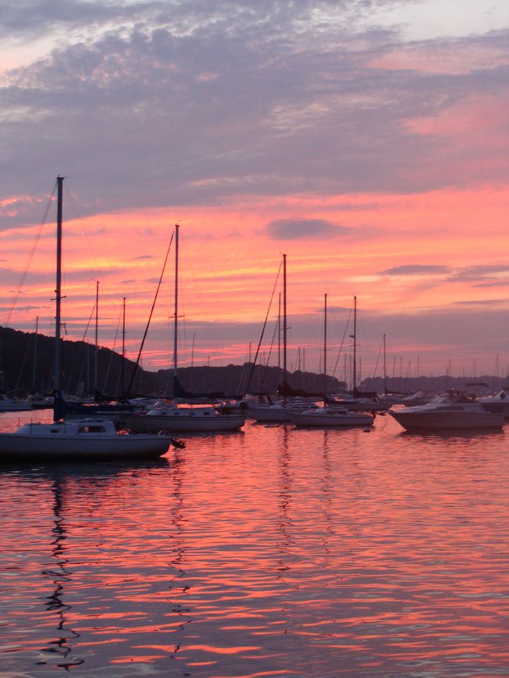 many boats are docked in the water at sunset