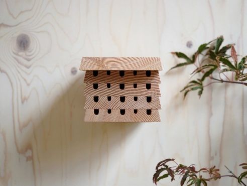 a piece of wood with holes in it on a white wall next to a potted plant