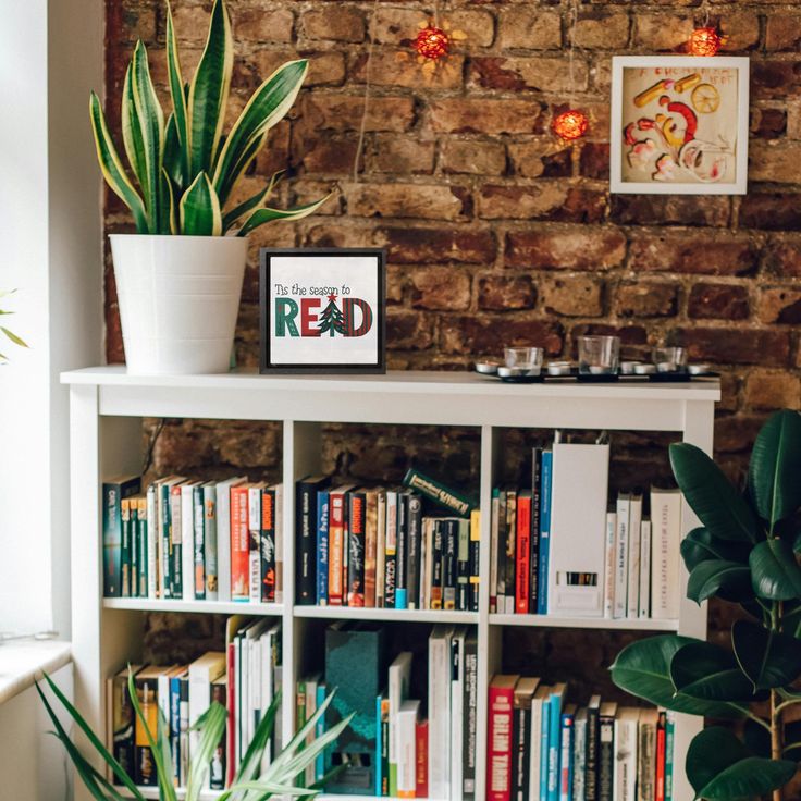 a bookshelf filled with lots of books next to a brick wall and potted plants