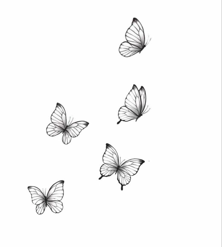 four butterflies flying in the air with one on top of it's wing and another on