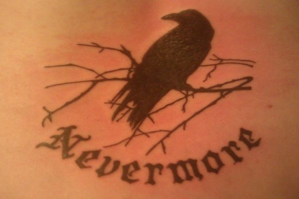 a bird sitting on top of a tree branch with the words nevermores written below it