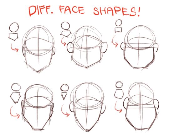 how to draw the face shape with different angles and shapes for each part of the head