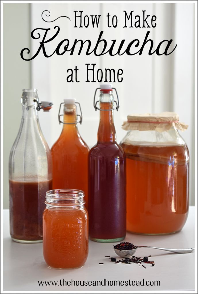 how to make kombucha at home