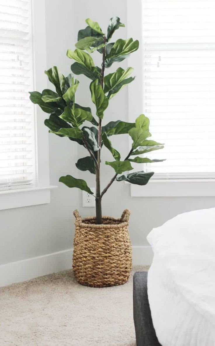 a plant in a basket on the floor next to a bed