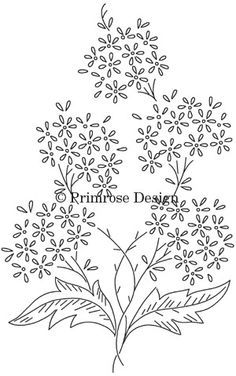 a drawing of some flowers with the words printrose designed on it