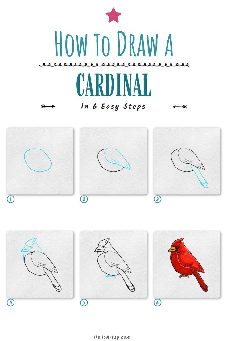 6 drawings demonstrating how to draw a how to draw a cardinal for kids. How To Draw A Chickadee Step By Step, How To Draw A Chickadee, Chickadee Drawing Simple, How To Paint A Chickadee, How To Draw A Bird Easy, Simple Bird Illustration, Watercolors Birds, Bluebird Drawing, Bird Drawings Easy