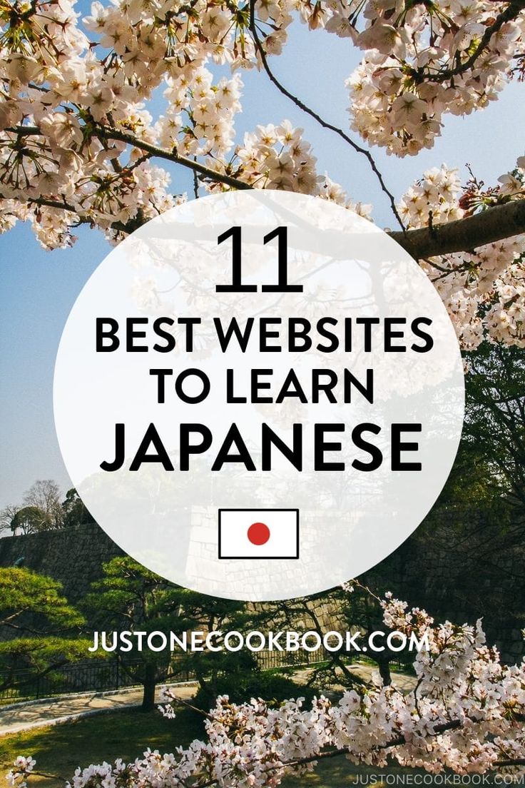 the words 11 best sites to learn japanese in front of cherry blossom trees with text overlay